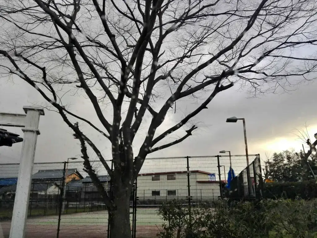 ソフトテニス・個別練習会【滋賀県】個人レッスン　ソフトテニス教室
