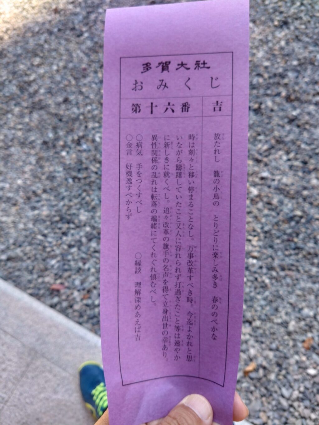 2025/11/15 多賀大社【滋賀県犬上郡多賀町】