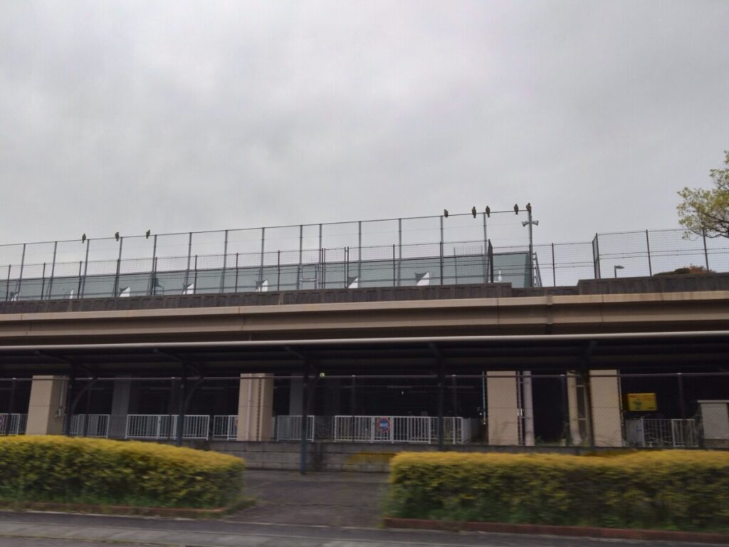 滋賀県草津市　矢橋帰帆島テニスコート